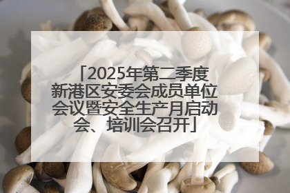 2025年第二季度新港区安委会成员单位会议暨安全生产月启动会、培训会召开