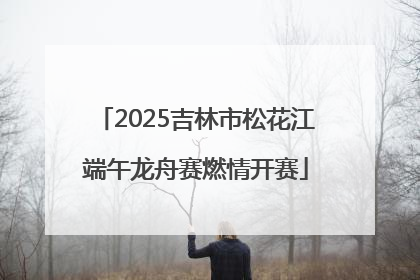 2025吉林市松花江端午龙舟赛燃情开赛