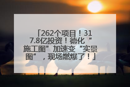 262个项目！317.8亿投资！德化“施工图”加速变“实景图”，现场燃爆了！