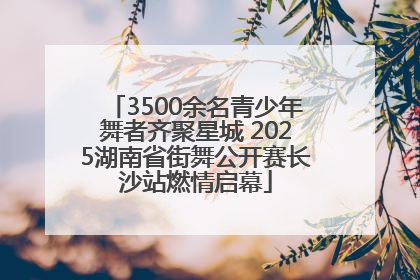 3500余名青少年舞者齐聚星城 2025湖南省街舞公开赛长沙站燃情启幕
