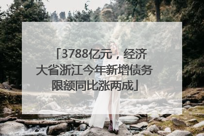3788亿元，经济大省浙江今年新增债务限额同比涨两成