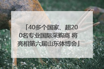 40多个国家、超200名专业国际采购商 将亮相第六届山东体博会