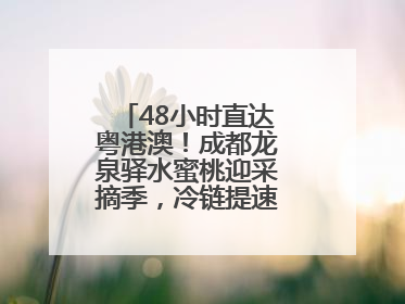 48小时直达粤港澳！成都龙泉驿水蜜桃迎采摘季，冷链提速“川品出川”