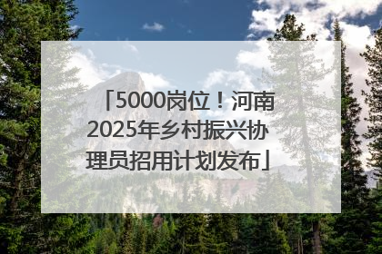 5000岗位！河南2025年乡村振兴协理员招用计划发布