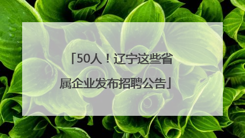 50人！辽宁这些省属企业发布招聘公告