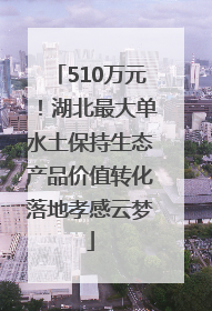 510万元！湖北最大单水土保持生态产品价值转化落地孝感云梦
