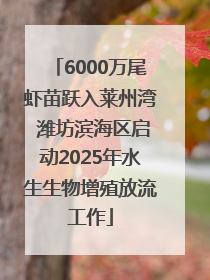 6000万尾虾苗跃入莱州湾 潍坊滨海区启动2025年水生生物增殖放流工作