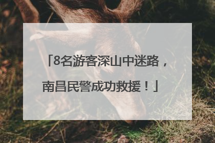 8名游客深山中迷路，南昌民警成功救援！