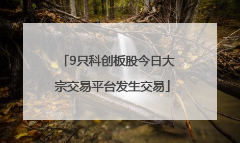 9只科创板股今日大宗交易平台发生交易