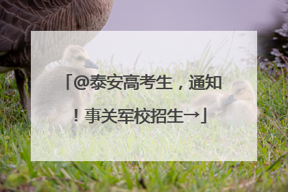 @泰安高考生，通知！事关军校招生→