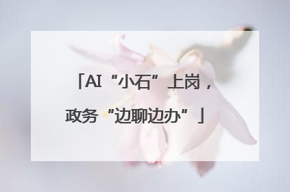 AI“小石”上岗，政务“边聊边办”