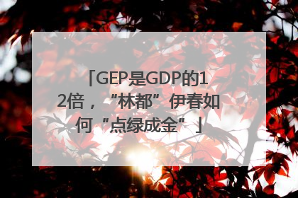 GEP是GDP的12倍，“林都”伊春如何“点绿成金”