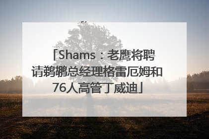 Shams：老鹰将聘请鹈鹕总经理格雷厄姆和76人高管丁威迪